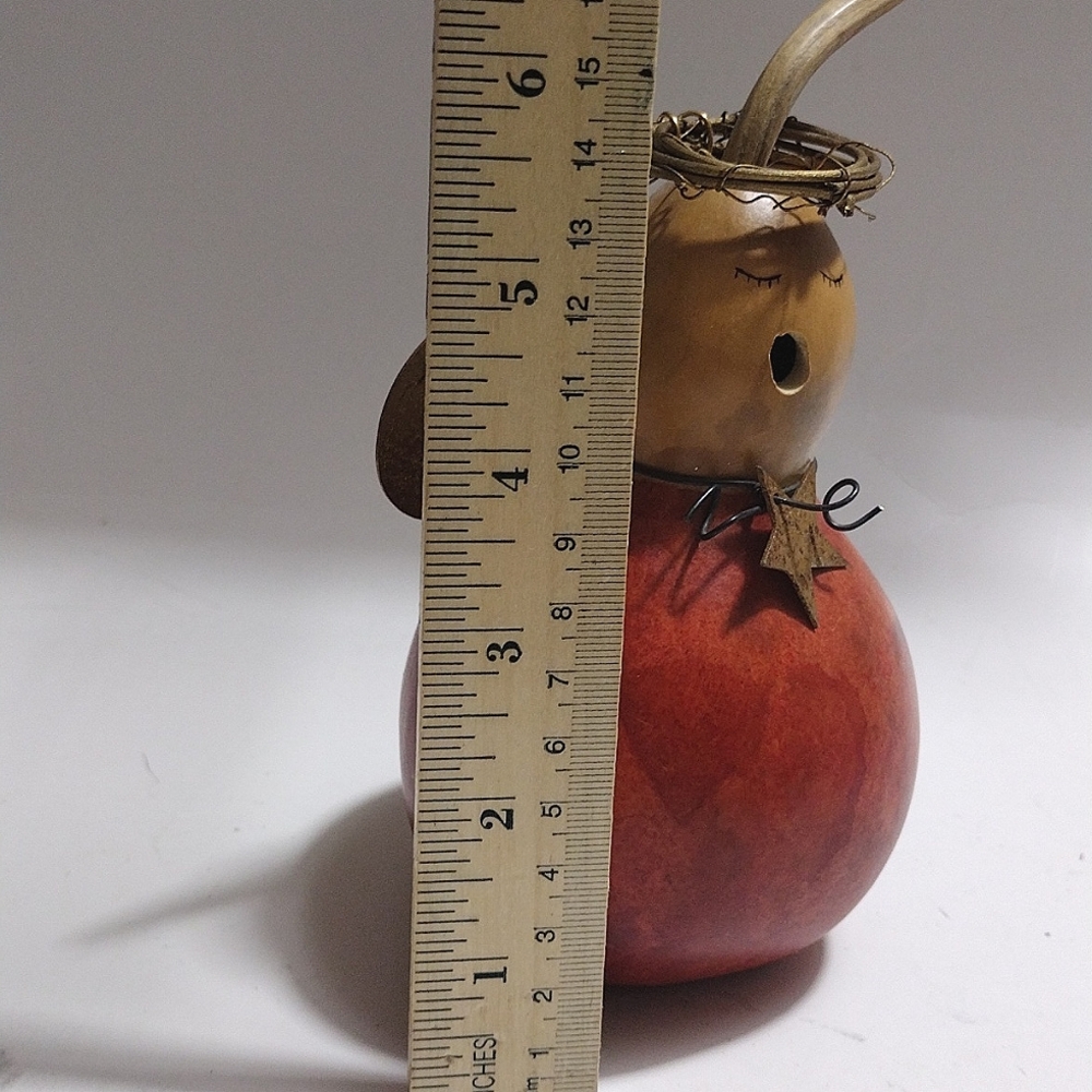 Angel Gourd - Picture 2 of 4